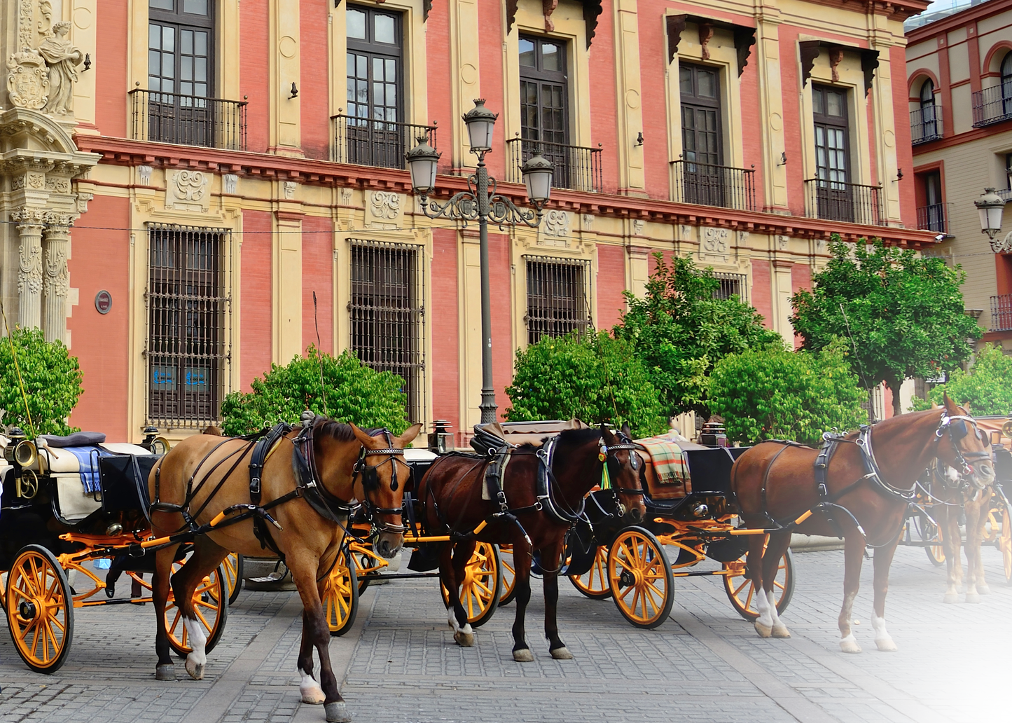 Horse Carriage Ride - 79,00€