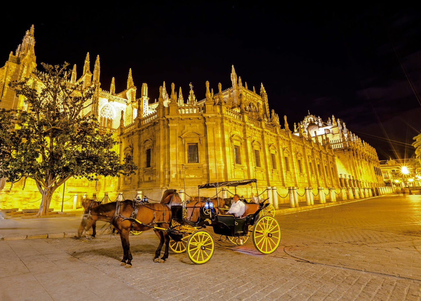 Horse Carriage Ride - 79,00€