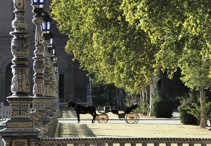 Horse Carriage Ride - 79,00€