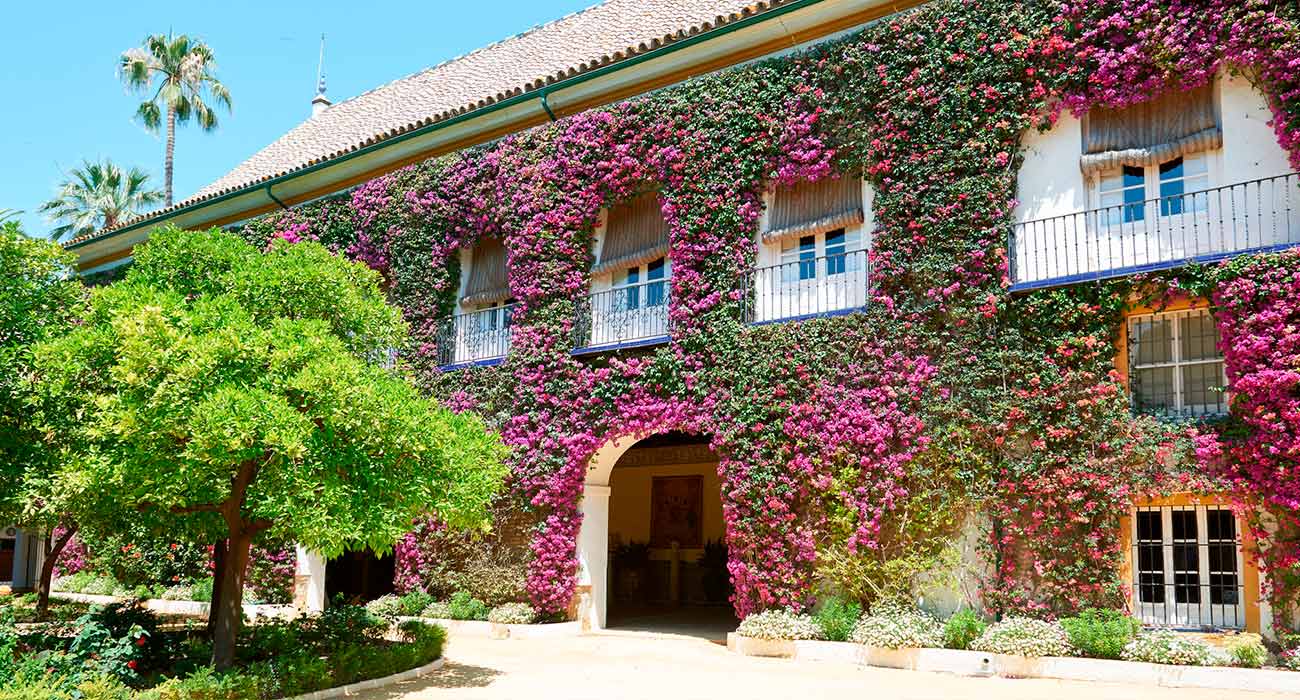Las Dueñas Palace Guided Tour - 25,00€